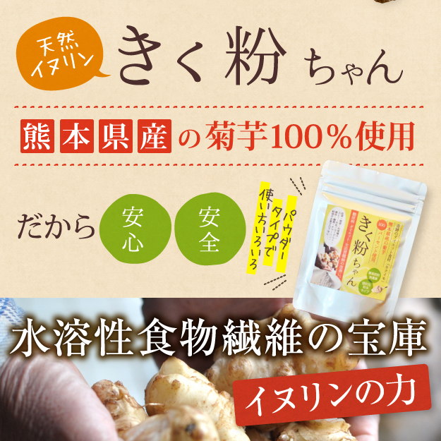熊本県天然菊芋の粉末パウダーきく粉ちゃんについて簡単にまとめています。